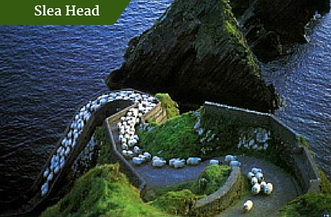 Slea Head | Executive Tours Ireland | Honeymoon Tours of Ireland