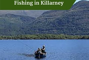 Fishing in Killarney