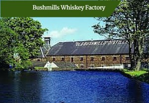 Bushmills Whiskey Factory -Private Guided Tours of Ireland