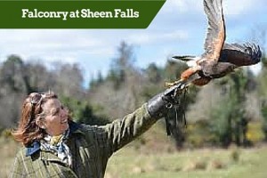 Falconry at Sheen Falls ?Customized Golf Packages Ireland