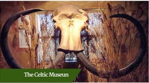 The Celtic Museum | Luxury Tours Ireland