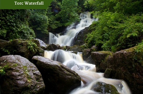 Torc Waterfall | Deluxe Chauffeur Drive Ireland