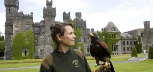 Falconry Dromoland Castle | Deluxe Tours Ireland 