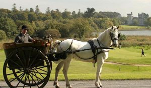 dromoland castle pony ride | Ireland Private Guided Tours