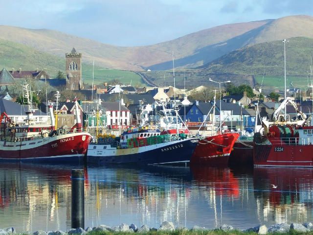 Boats in Dingle harbour | Deluxe Ireland Escorted Tours 