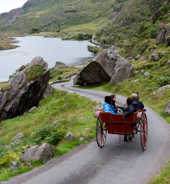 Irish Jaunting Car ( Horse & Carriage) in Kerry | Family Tours Ireland