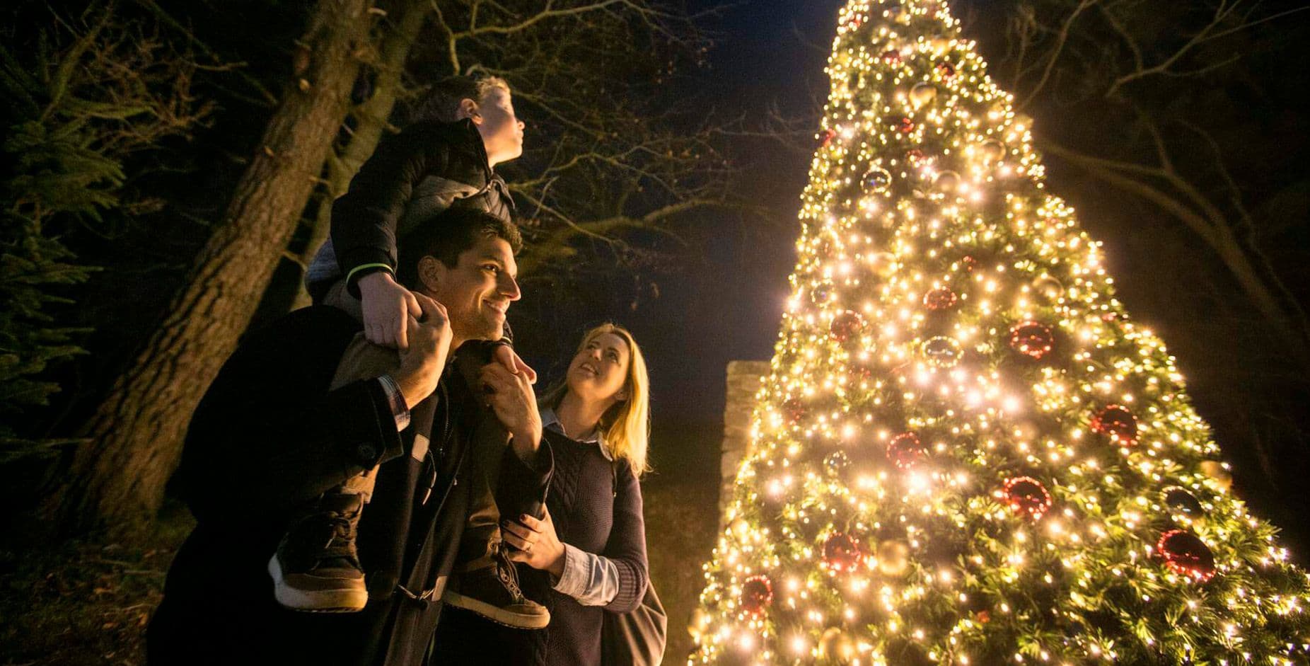 Christmas tree | Christmas in Ireland