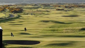 Golfers playing on a Golf course